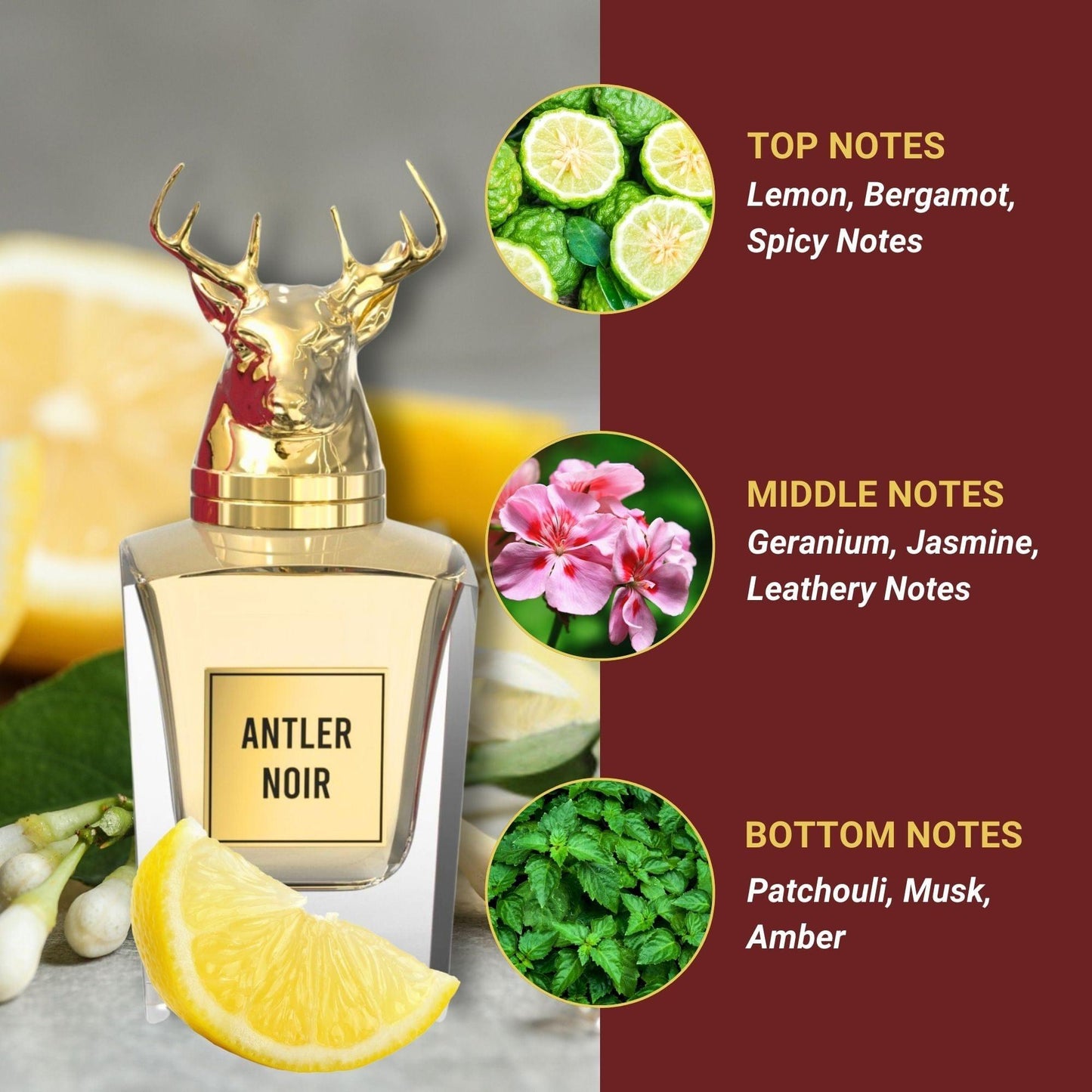 Antler Noir Silicone Non Alcoholic Perfume For Men Perfume ROYAL FRAGRANCES