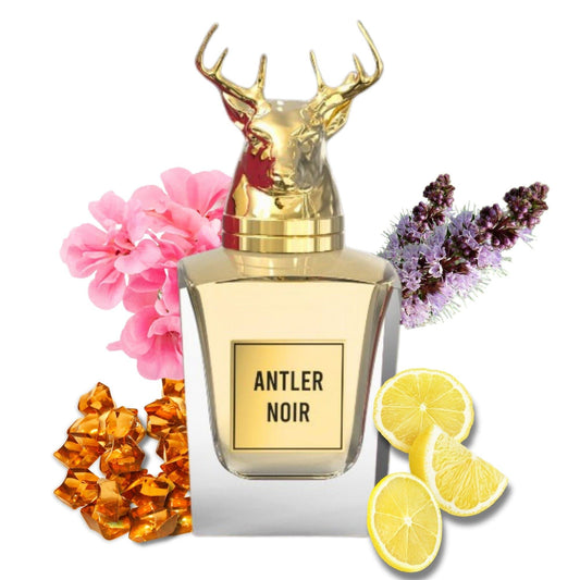 Antler Noir Perfume For Men