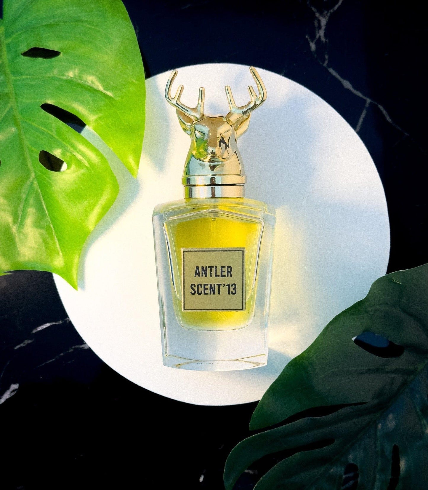 Antler Scent'13 Silicone Non Alcoholic Perfume For Women Perfume ROYAL FRAGRANCES